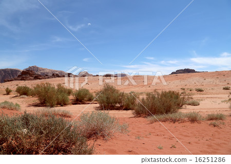 Wadi Rum Desert, Jordan 60 km to the east of Aqaba 16251286