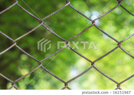 wire mesh steel with natural background 16251987