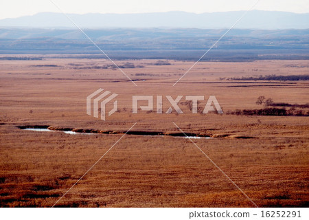 Kushiro Marsh 16252291