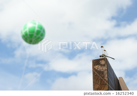 Dragonfly and balloon 16252340