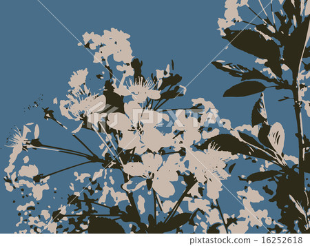 blooming apple tree blooming apple tree 16252618