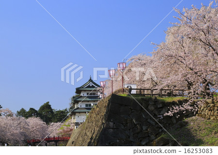 弘前公園櫻花盛開圖像 弘前公園櫻花盛開圖像 16253083