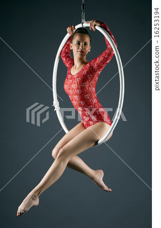 Attractive sexy girl posing on aerial hoop Attractive sexy girl posing on aerial hoop 16253194