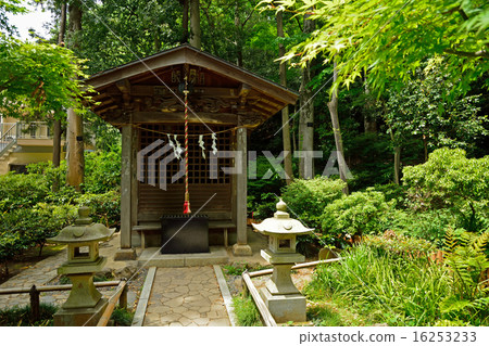 Kokubunji walking: pond of true appearance, Benzaiten 16253233