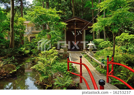 Kokubunji walking: pond of true appearance, Benzaiten Kokubunji walking: pond of true appearance, Benzaiten 16253237