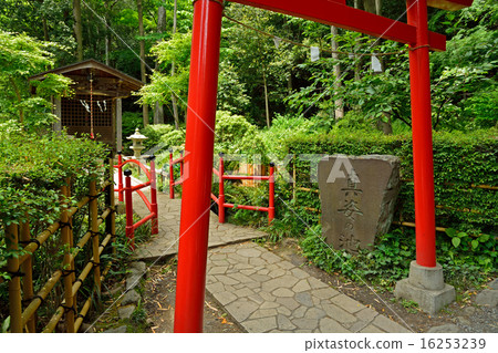 Kokubunji walking: pond of true appearance, Benzaiten Kokubunji walking: pond of true appearance, Benzaiten 16253239