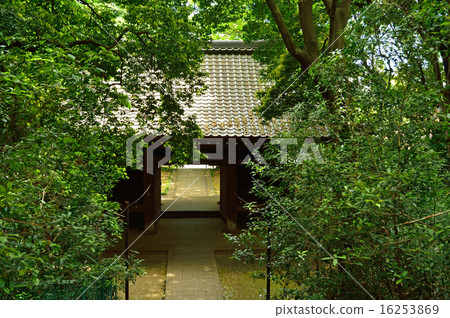 Kokubunji walk: Kokubunji Niimon 16253869