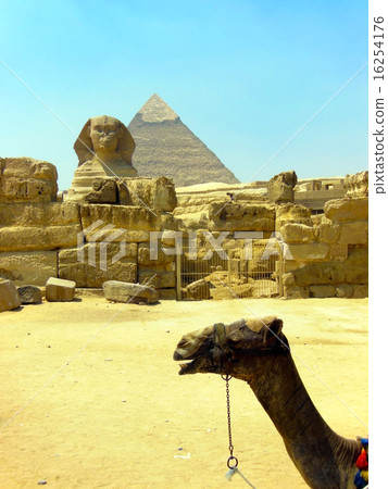 獅身人面像 16254176