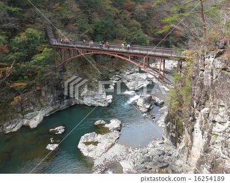Rainbow bridge of Ryu-Okyo colored with autumn leaves 16254189