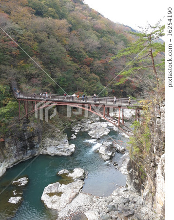 Rainbow bridge of Ryu-Okyo colored with autumn leaves 16254190