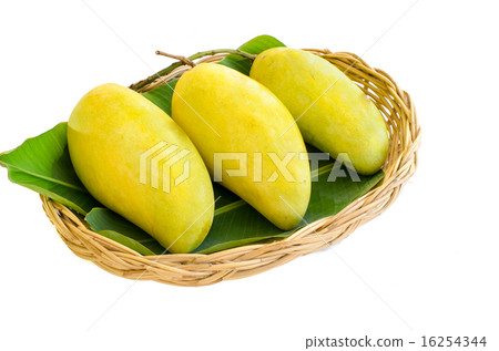 Three big mango fruit on basket, isolated on white Three big mango fruit on basket, isolated on white 16254344