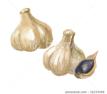 黑蒜 黑蒜 16254566