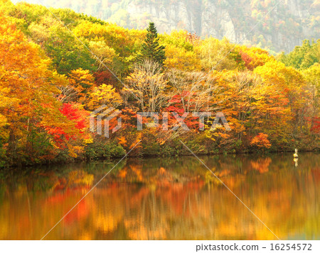 風景 風景 16254572