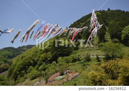 Koanobori of Sano River Sagamihara City, Kanagawa Prefecture Koanobori of Sano River Sagamihara City, Kanagawa Prefecture 16256912