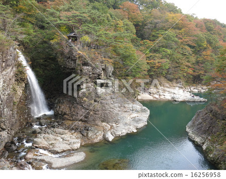 The red leaves Ryuugyo seen from Rainbow Bridge (Rainbow View Falls / Goryu-Ooyama Shrine) 16256958