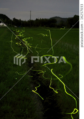 Genji fire ball dance 16257033