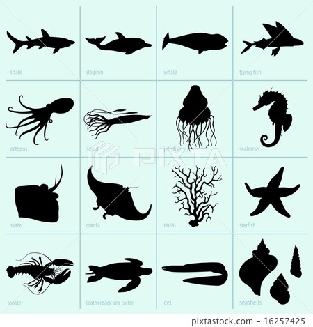 Sea animals  16257425