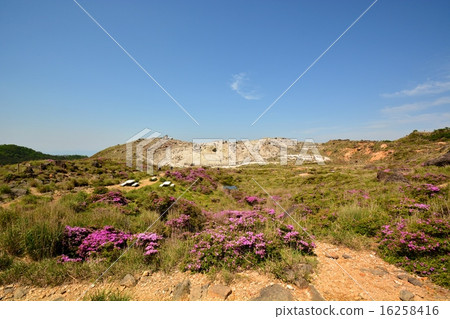 Miyama Kirishima Blooming Kirishima Mountain Range Ebino Highland和Iwo Jima Miyama Kirishima Blooming Kirishima Mountain Range Ebino Highland和Iwo Jima 16258416