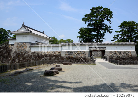 小田原城 小田原城 16259075