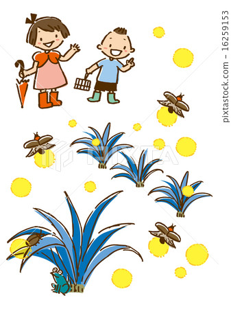 japanese firefly, firefly, fireflies 16259153