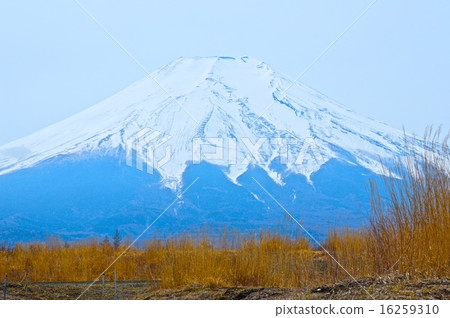 富士山（北富士演習區/山梨縣富士吉田市·山中湖村·忍野村） 16259310