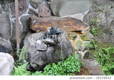 Zenkoji Hakusan名水 16259452