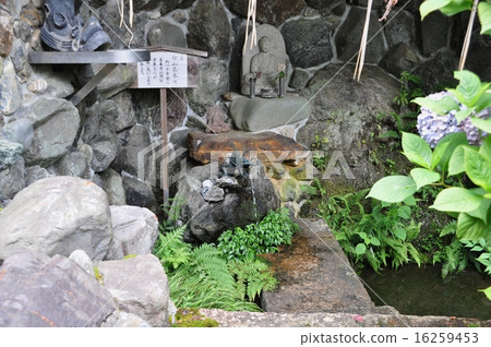 Zenkoji Hakusan name water 16259453