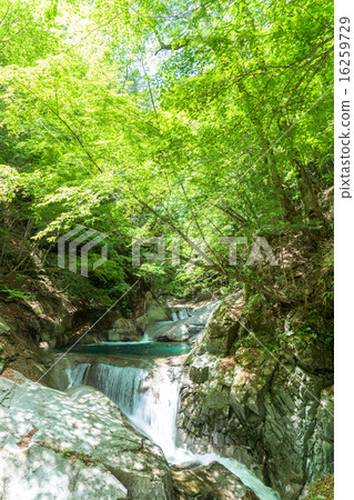 Nishizawa Valley · Mie Falls 16259729