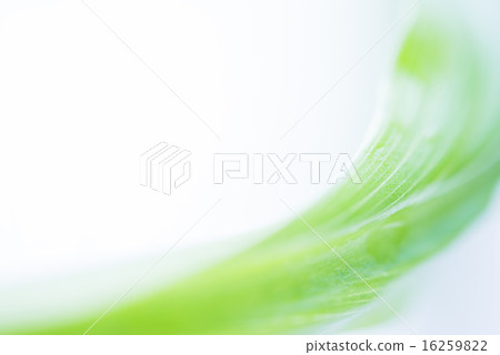 Green leaf background material 16259822