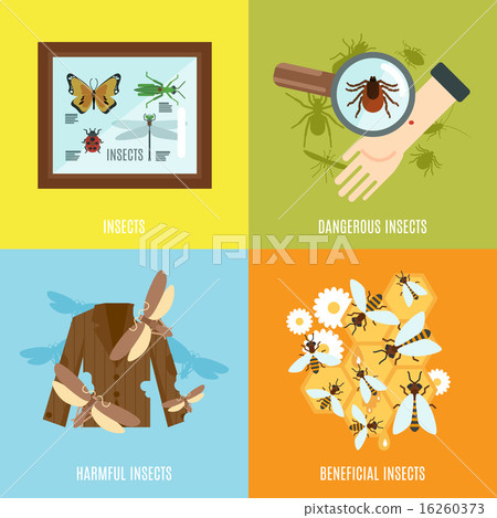 Insects Flat Set 16260373