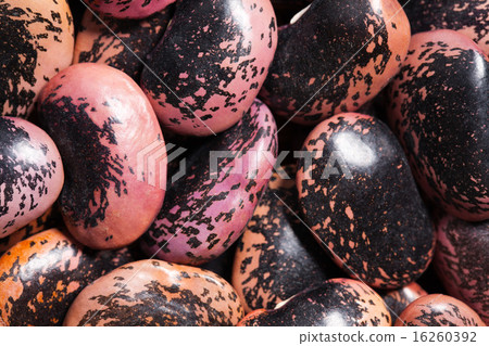 color beans background color beans background 16260392