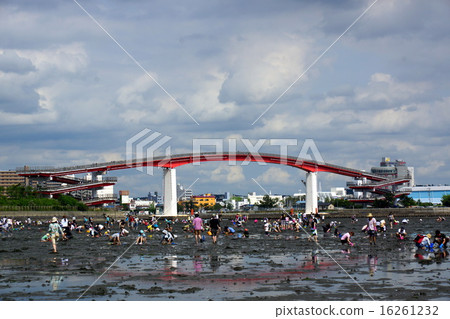 Kisarazu Sushi Hunt and Midorijima Ohashi 16261232