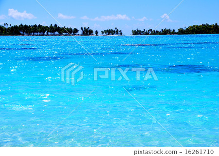French Polynesia Blue Lagon of Rangiroa 4 16261710