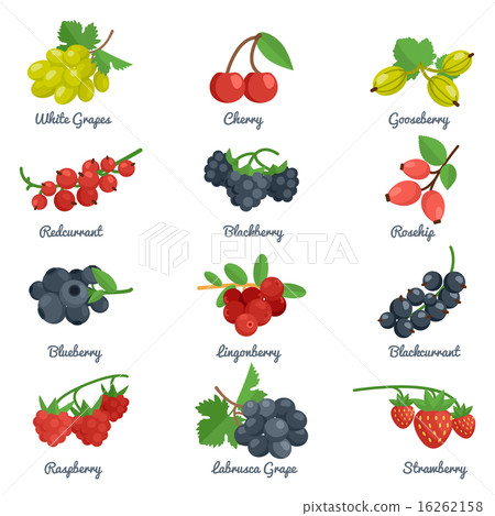 Berries Flat Icons Set 16262158