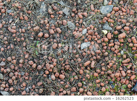 Expanded Clay Aggregate 16262523