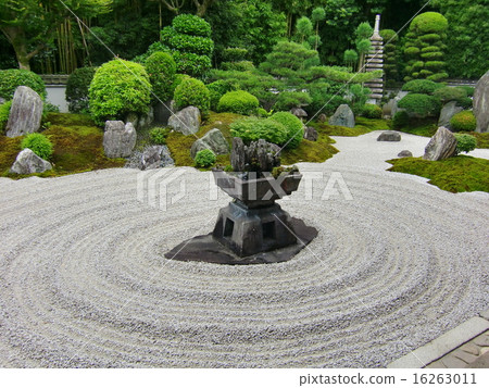 兒子尼恩 16263011