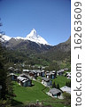 Fresh green and Matterhorn 16263609