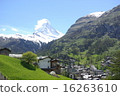 Fresh green Zermatt and Matterhorn 16263610