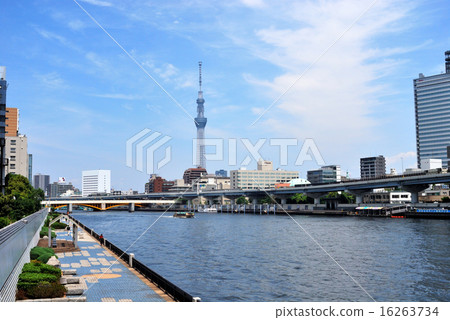 Sumidagawa Terrace和東京天空樹 Sumidagawa Terrace和東京天空樹 16263734