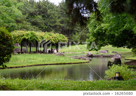 A view of the pond in Tsurugi-ji Park 16265080