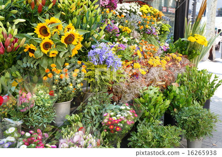 巴塞羅那Ramblas花店 16265938