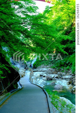 Gosan Gorges (1) Gosan Gorges (1) 16266455