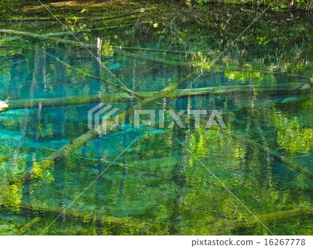 God's Pond God's Pond 16267778