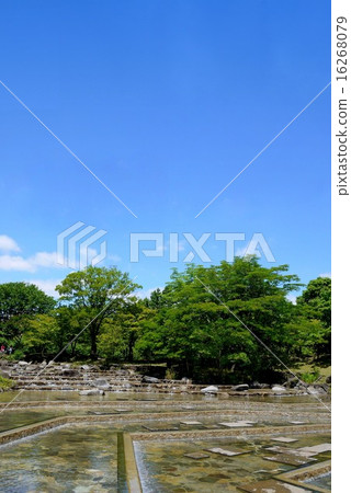 Fuchu city local forest museum water play pond (June) 16268079