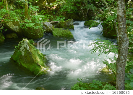 Oirase流 Oirase流 16268085
