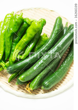 Shishi Tang and cucumber 16268109