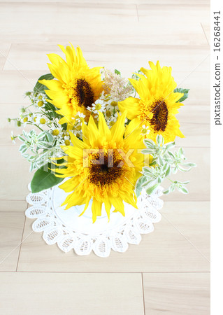 Van Gogh sunflower, Hatsuki woow, Astilbie and Matriarcharia arrangement (vertical all right) Van Gogh sunflower, Hatsuki woow, Astilbie and Matriarcharia arrangement (vertical all right) 16268441