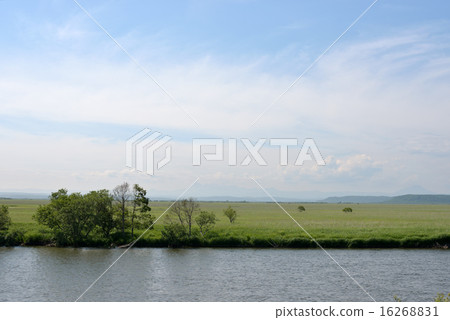 Kushiro moor in the summer Kushiro moor in the summer 16268831