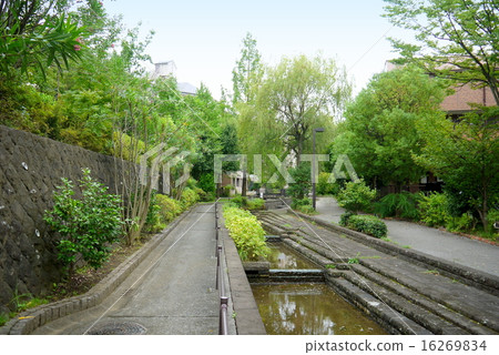 Keio Horinouchi Seseragi green road (August) Keio Horinouchi Seseragi green road (August) 16269834