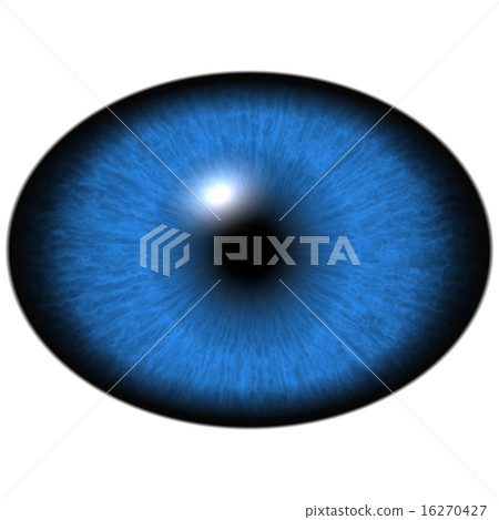 Elliptic blue iris, light reflection in eye 16270427